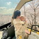 로얄게임방 | 곤지암리조트 로얄 노블 숙박하고 4월 화담숲 방문 후기