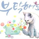 광교마트약국 이미지