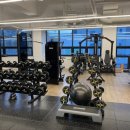 리든덤벨 이미지