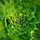 다래농원 이미지