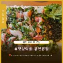 세븐일레븐 용인남사본점 | [용인 남사 맛집] 깻잎막회 용인본점 방문 솔직 후기