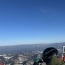 더레인보우샐러드