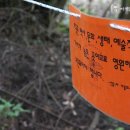 동백동산 이미지