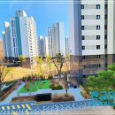 분당판교-D-2 이미지