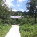 내린천솔밭민박 이미지