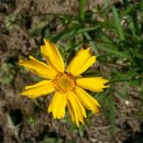 오디마을펜션 이미지