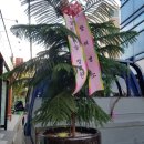 위즈캐슬어린이집 이미지