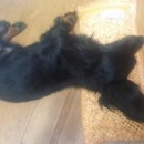 개판살판 이미지