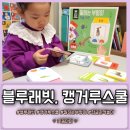 3살아기 한글 영어 노출 블루래빗 팝업북 말하는부엉이 척척한글자석놀이