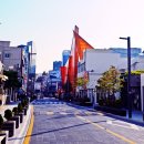 은행나무시장 3 이미지