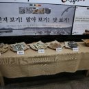조경제만두쟁이 이미지