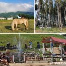 신종목장 이미지