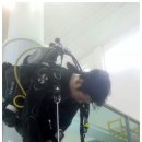 파티마슈트