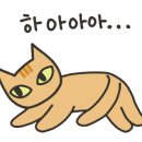 우리여성병원건물 이미지