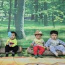 새싹과 나무어린이집 이미지