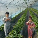 벌말농원 이미지