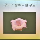 구도의 3요소~선,형,명암 이미지