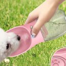 강아지와 산책 이미지