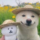 이화청국장 기사식당