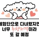 으뜸플러스안경 부산정관점 이미지