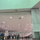 H-087 | 시드니공항에서 인천으로 콴타스항공 QF087편 타고 귀국 후기