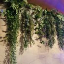 효자종로약국 이미지