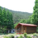 국립희리산해송자연휴양림 이미지