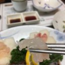 덴포라 | 해운대 중동 랍스터 맛집 덴포라 후기