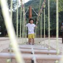 대흥동 유아숲체험원 이미지