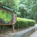 광교산[수지생태공원-시루봉(582m)-정평천길] [24.06.25(화)] 이미지