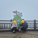 댕댕라운지 | 댕댕트레킹 참가 전 꼭 알아야 할 일정과 숙소 정보 및 참가후기