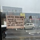 워시테리아올레 이미지