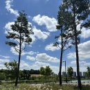 모산골방죽 이미지