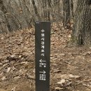 수원시 경계 이미지