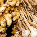 영농상회 이미지