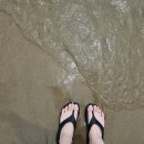 육면채일광점 이미지