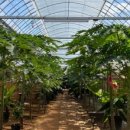 은하수농장 이미지