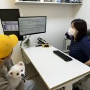 아이온메디컬 이미지