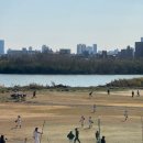 [워홀 + 29] 부동산 후기, 소소한 생활 팁