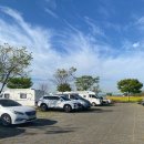 한새봉농업생태공원 | 부산 대저생태공원 유채꽃 농업박람회 후기 — 내년엔 꼭 이렇게 가세요