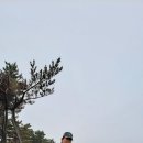 이환농장 | 제주올레 걷기 (제15-B,16코스) [부제]제주 열흘살기 (210608~0617) 6일차