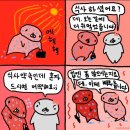 동경차이나 이미지