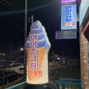 다양한 종류의 아이스크림 가득 빙고푸드 아이스크림 할인마트 교동점