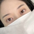 경대병원역 속눈썹 펌 , 아르빔뷰티