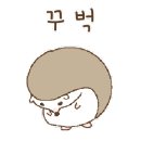 코티스 앰버서더 이미지