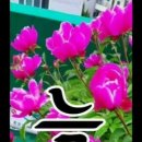 행복가득 이미지