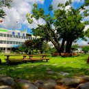 곡성-183 이미지