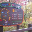 청남대 무장애나눔길조성 네이버블로그