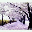 엘라이프 - 안성시 기업단지로 74 | 엘라이프