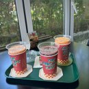 오닭꼬치 어카페 | 부산 강서구 브런치 카페 [페로어페로] | 부산 명지점 브런치 맛집 솔직 후기